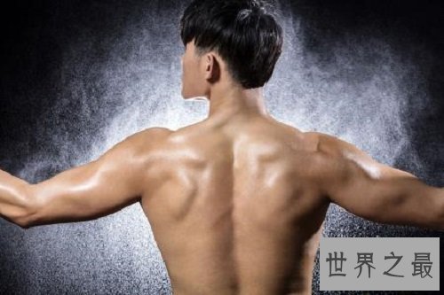 【图】真正的人体最大的器官你绝对意想不到