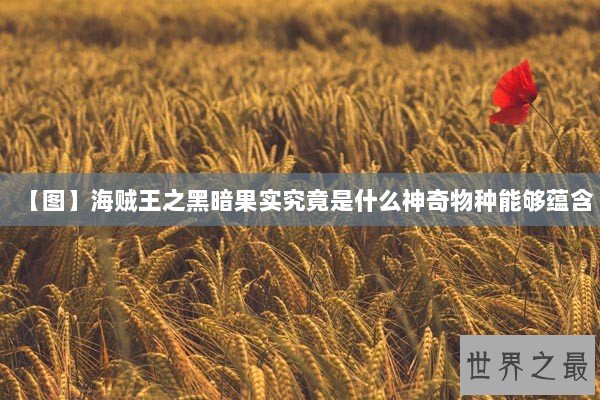 【图】海贼王之黑暗果实究竟是什么神奇物种能够蕴含