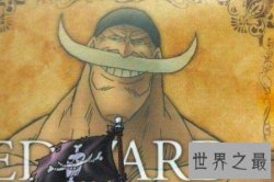 【图】海贼王你虽然已经看过可是这些隐秘的小细节你