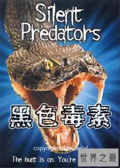 【图】无关蛇的电影有哪些 狂蟒之灾延续三部获得好评