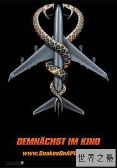 【图】无关蛇的电影有哪些 狂蟒之灾延续三部获得好评