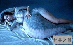 【图】有关蛇的电影有哪些 狂蟒之灾连续三部获得好评