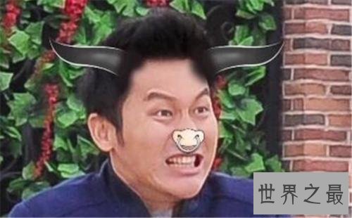 【图】李晨为什么叫大黑牛，那么成绩来了，他跟金钟