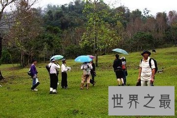 【图】很多网友会经过咫尺论坛 文娱八卦来了解一些八
