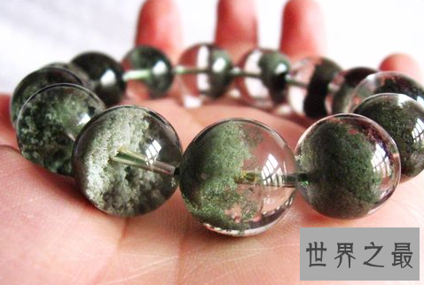 【图】 绿幽灵 被它的名字吓住了 看它切实的意义是什