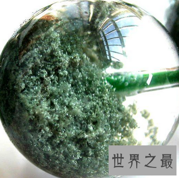 【图】 绿幽灵 被它的名字吓住了 看它切实的意义是什