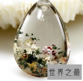 【图】 绿幽灵 被它的名字吓住了 看它切实的意义是什