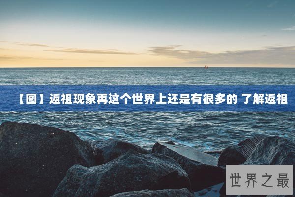 【图】返祖现象再这个世界上还是有很多的 了解返祖 【图】返祖现象再这个世界上还是有很多的 了解返祖
