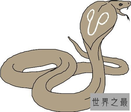 【图】我想和大家分享一下我做梦被蛇咬的教训