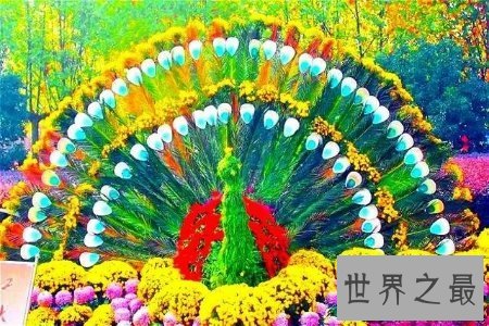 【图】入迷入化是我国现代的一个成语 对于入迷入化的