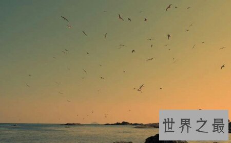 【图】由台湾歌手姜育恒唱的那首驿动的心你听过吗