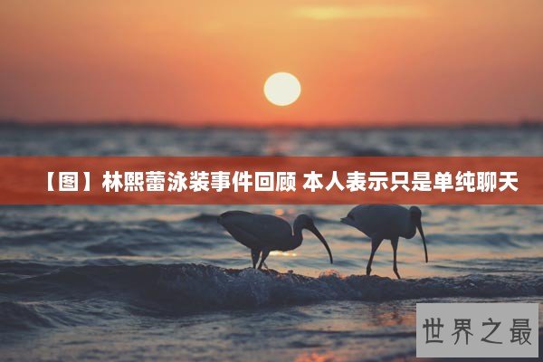 【图】林熙蕾泳装事件回顾 本人表示只是单纯聊天