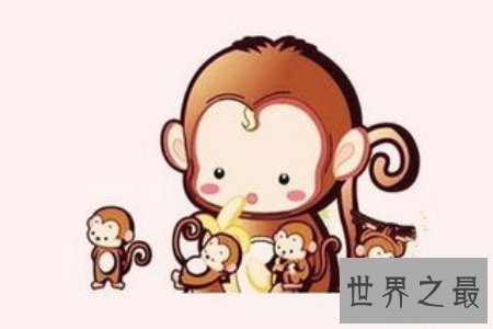 【图】由古至今 关于猴的成语有很多 你知道它们的由来