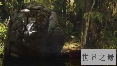 【图】关于蟒蛇的电影都有哪些 美国的有吗