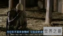 【图】关于蟒蛇的电影都有哪些 美国的有吗