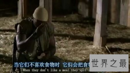 【图】关于蟒蛇的电影都有哪些 美国的有吗