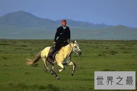 【图】蒙今人生性直率硬朗自古被称为马背上的民族他