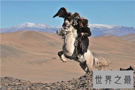 【图】蒙今人生性直率硬朗自古被称为马背上的民族他