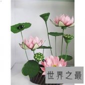 【图】纸藤花这个可以一直绽放摆在家里的花快来学学