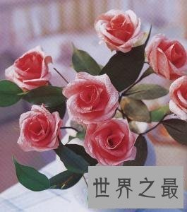 【图】纸藤花这个可能不断绽开摆在家里的花快来学学