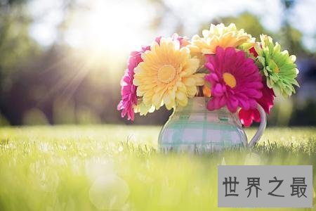 【图】励志句子很重要然而使用的场合你会抉择吗