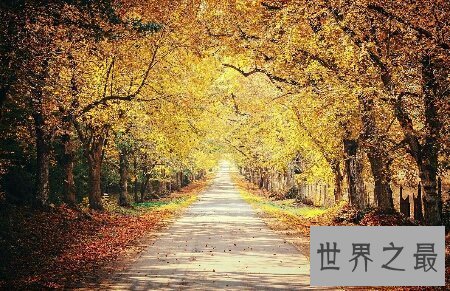 【图】看看我整顿的刻画秋天的句子你相中了哪些句子