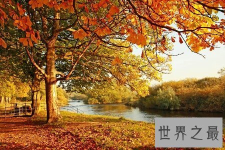 【图】看看我整顿的刻画秋天的句子你相中了哪些句子