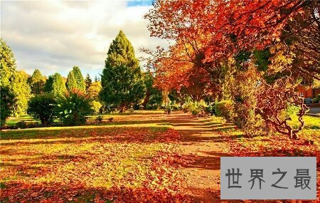 【图】看看我整顿的刻画秋天的句子你相中了哪些句子