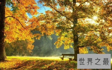 【图】看看我整顿的刻画秋天的句子你相中了哪些句子