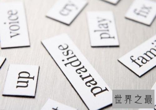 【图】trip是什么意思，他的用法是什么，其余单词怎样