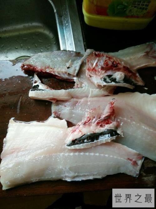 【图】在日常生存中白鲢鱼怎样做好吃