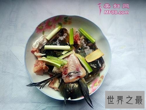 【图】在日常生存中白鲢鱼怎样做好吃