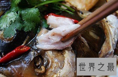 【图】在日常生存中白鲢鱼怎样做好吃