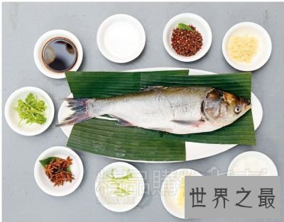 【图】在日常生存中白鲢鱼怎样做好吃