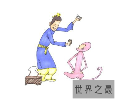 【图】汉语词典嘛 要不要了解朝三暮四的意思