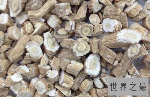 【图】板蓝根的作用和效用，舒服怎样办，多喝热水，