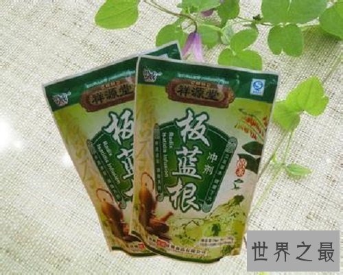 【图】板蓝根的作用和效用，舒服怎样办，多喝热水，