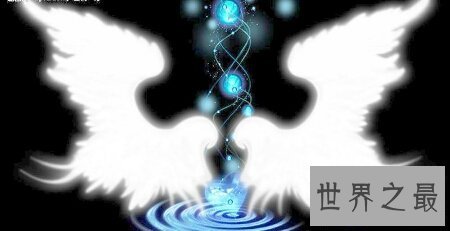 【图】你经过看天使的翅膀歌词给你了哪些感触感受