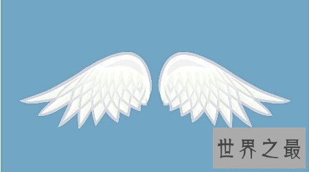 【图】你经过看天使的翅膀歌词给你了哪些感触感受