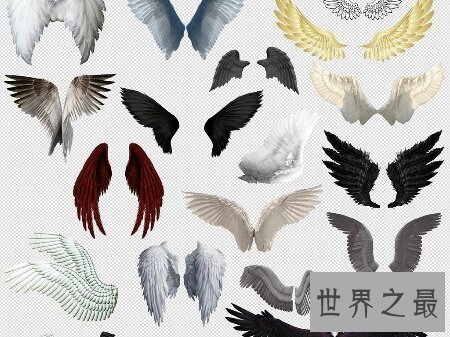 【图】你经过看天使的翅膀歌词给你了哪些感触感受