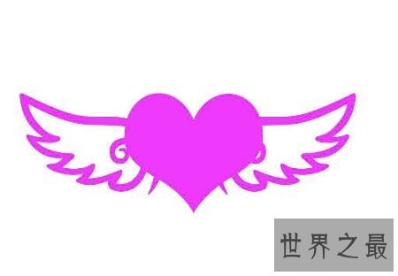 【图】你经过看天使的翅膀歌词给你了哪些感触感受