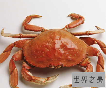 【图】 每天睡觉做梦很失常 梦见螃蟹是吉兆还是凶兆呢