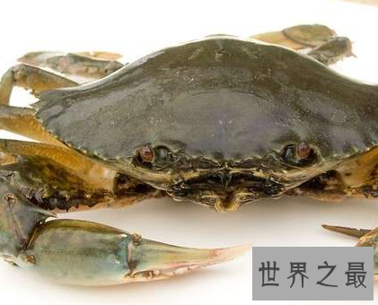 【图】 每天睡觉做梦很失常 梦见螃蟹是吉兆还是凶兆呢