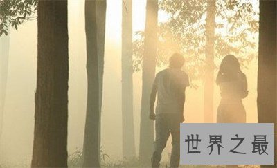 【图】挪威的森林读后感 看了才知道这本书这么深奥