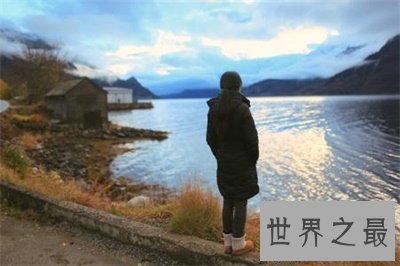 【图】挪威的森林读后感 看了才知道这本书这么深奥