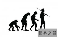【图】看了猿人变成人类的过程 震惊了