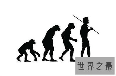 【图】看了猿人变成人类的过程 震惊了