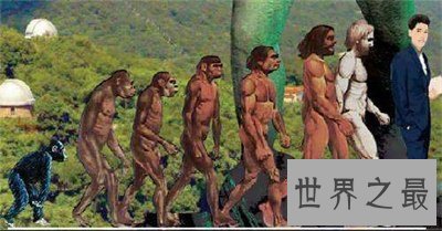 【图】看了猿人变成人类的过程 震惊了