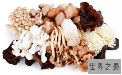 【图】什么菌类好吃还没毒 看了我饿了