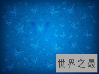 【图】蓝色蝴蝶的含义有很多 其中蓝色蝴蝶gv又是什么